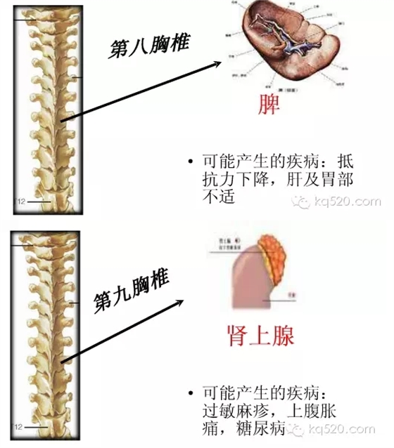 QQ圖片20150710164935.png