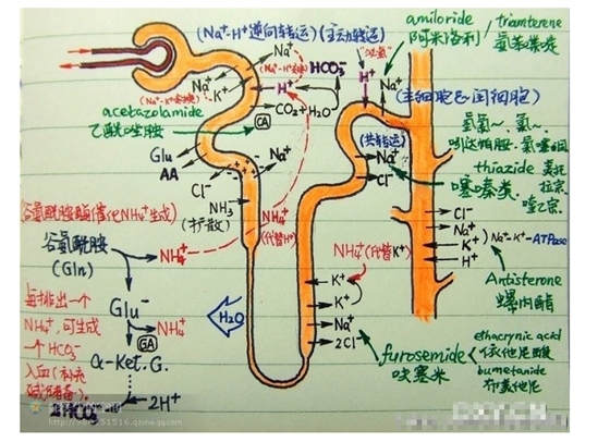 版權歸原作者