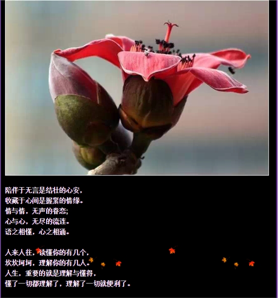 QQ圖片20150730092638.png