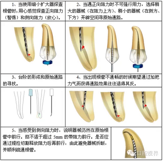 QQ圖片20150803103011.png