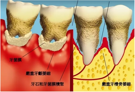 QQ圖片20150808110201.png