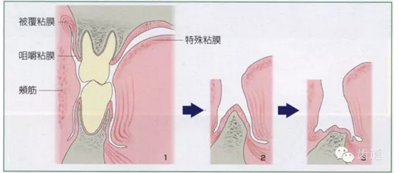 QQ圖片20150808151228.png