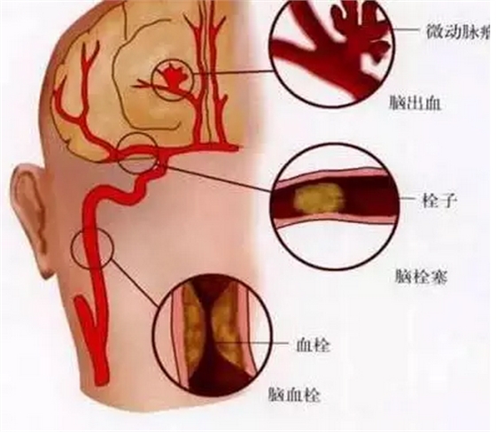 QQ圖片20150812090517.png