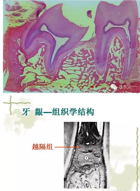 QQ圖片20150814101434.png