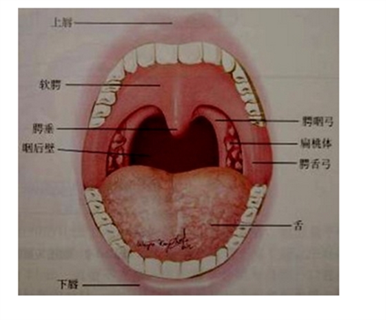 QQ圖片20150814140631.png