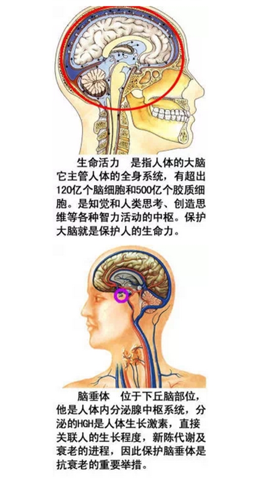 QQ圖片20150815170107.png