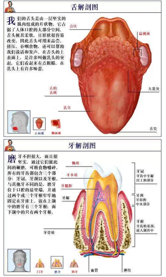 QQ圖片20150815170746.png