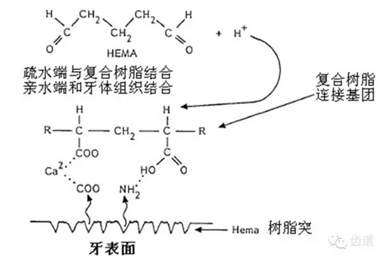 QQ圖片20150816143300.png