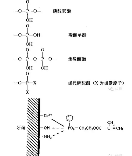 QQ圖片20150816143332.png