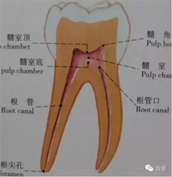 QQ圖片20150820144312.png