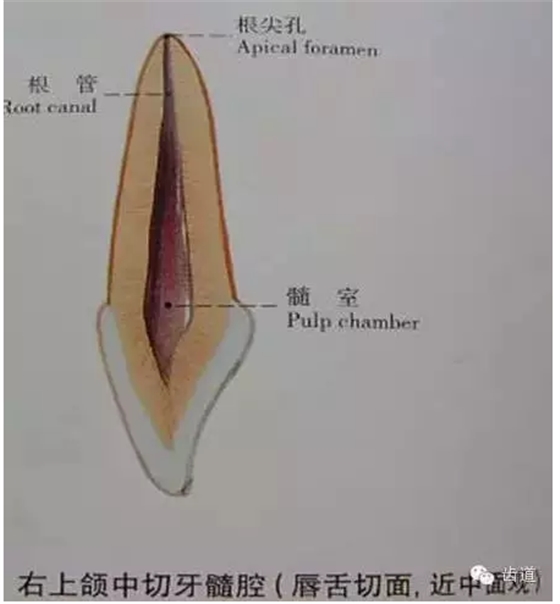 QQ圖片20150820144921.png