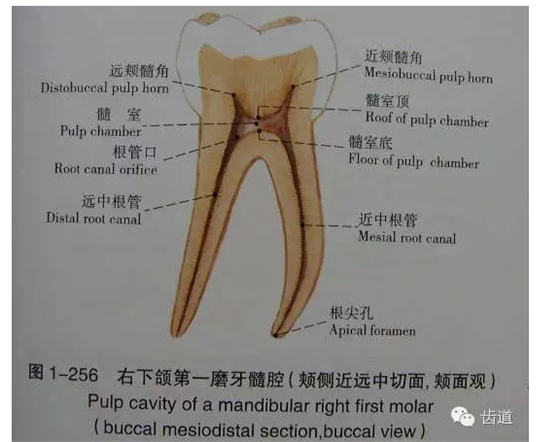 QQ圖片20150820145840.png