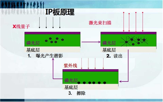 幻燈片3.jpg