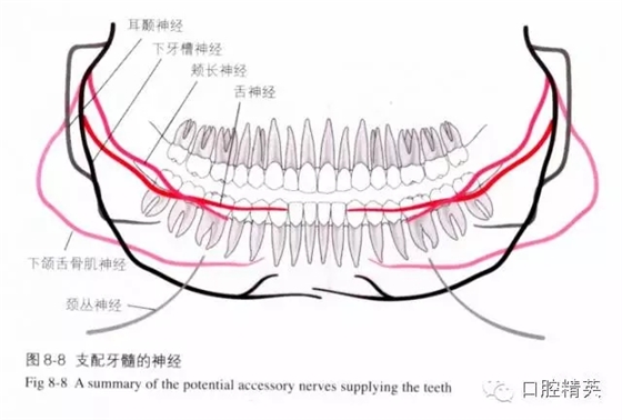 分析局部麻醉失敗的常見(jiàn)原因