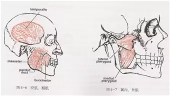 640.webp (4).jpg