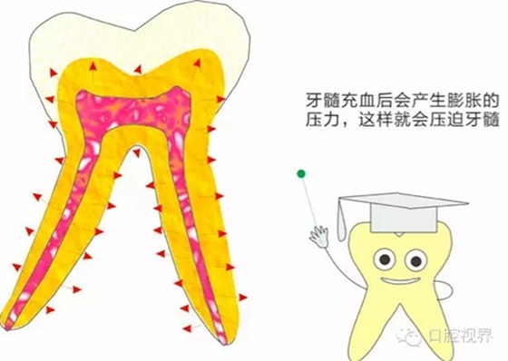 【愛牙科普知識300問】 “什么是牙齦萎縮？”