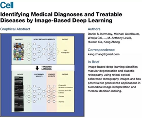 《細胞》重磅：中國科學家研發(fā)的AI影像診斷系統(tǒng)首登頂級期刊，可診斷眼病和肺炎兩大類疾病，準確性匹敵頂尖醫(yī)生 | 科學大發(fā)現(xiàn)