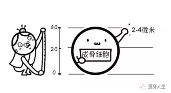 如何選擇種植牙，給《患者》推薦這篇文章就足矣