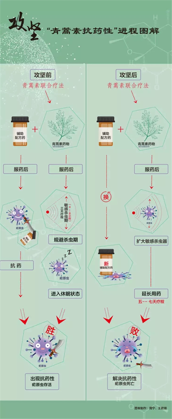 屠呦呦團隊新突破！