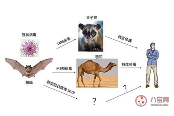 新型冠狀病毒感染了一定會發(fā)熱嗎？新型冠狀病毒前期的癥狀有哪些？