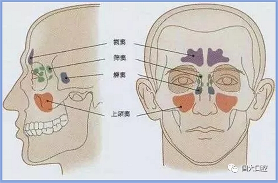 疫情期間，種植科突發(fā)狀況居家處理建議