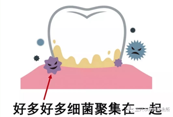 上海品瑞邁格磁致伸縮治療儀 患者之愛(ài)