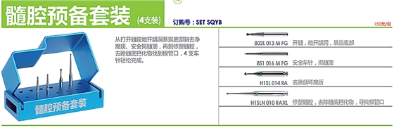 德國奧一髓腔預(yù)備套裝