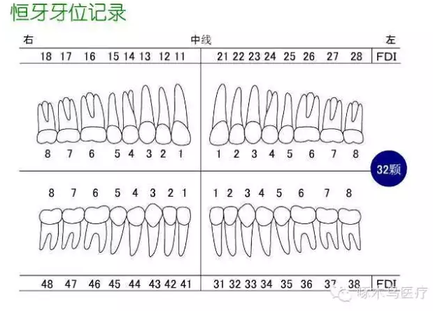 QQ圖片20150710135330.png