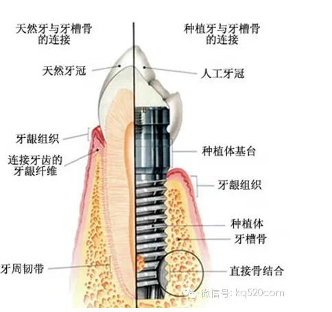 QQ圖片20150721100239.png