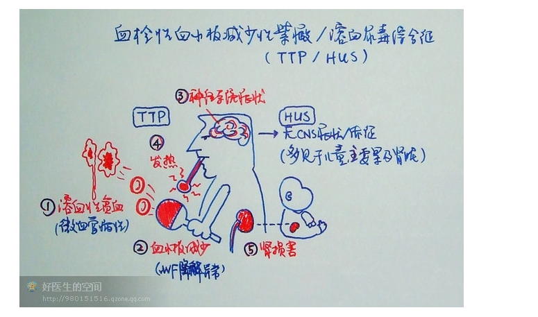 版權(quán)歸原作者