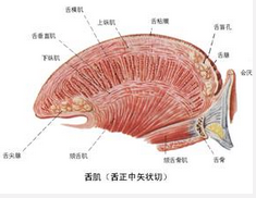 QQ圖片20150721134126.png