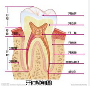 QQ圖片20150721134306.png