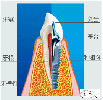 QQ圖片20150721135857.png