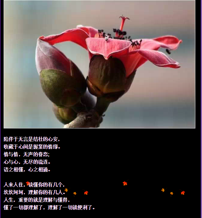 QQ圖片20150730092638.png