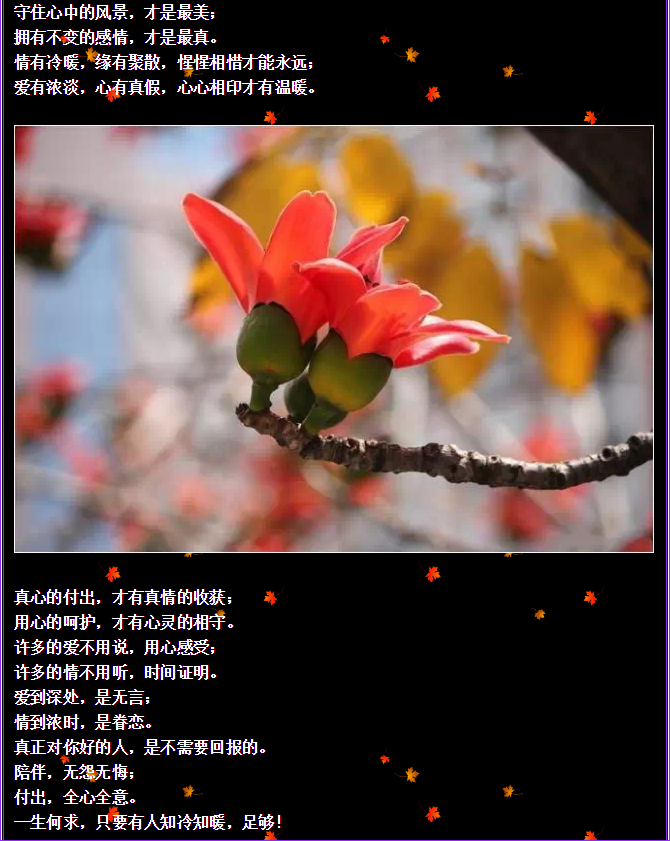 QQ圖片20150730092809.png