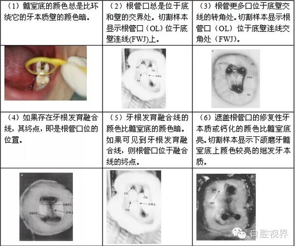 QQ圖片20150803102952.jpg