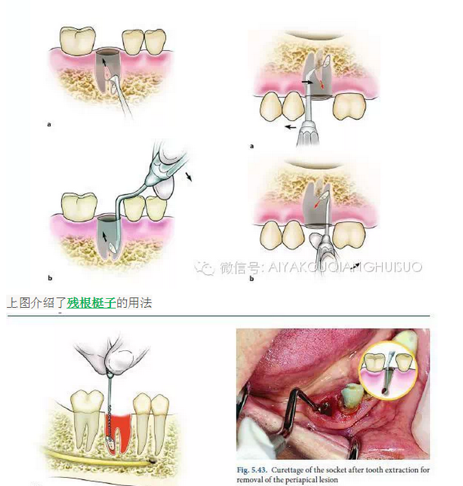 QQ圖片20150807105031.png