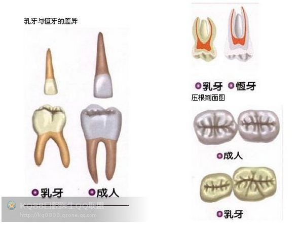 QQ圖片20150808110526.png