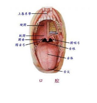 QQ圖片20150814140434.png