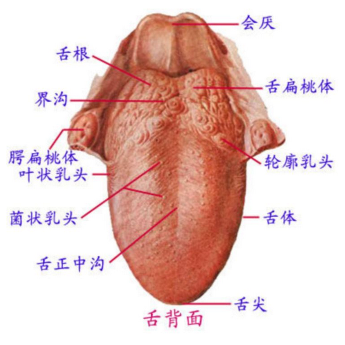 QQ圖片20150814140524.png