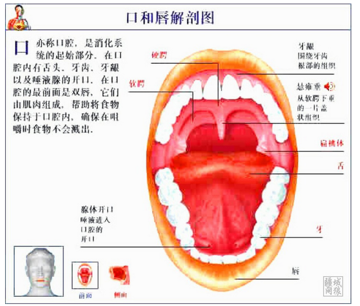 QQ圖片20150814140650.png