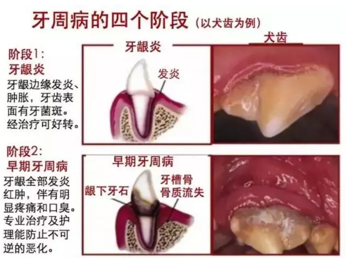 QQ圖片20150815110450.png