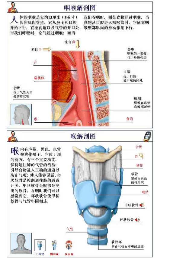 QQ圖片20150815170758.png