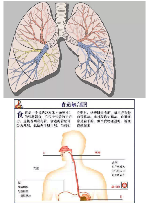 QQ圖片20150815170833.png