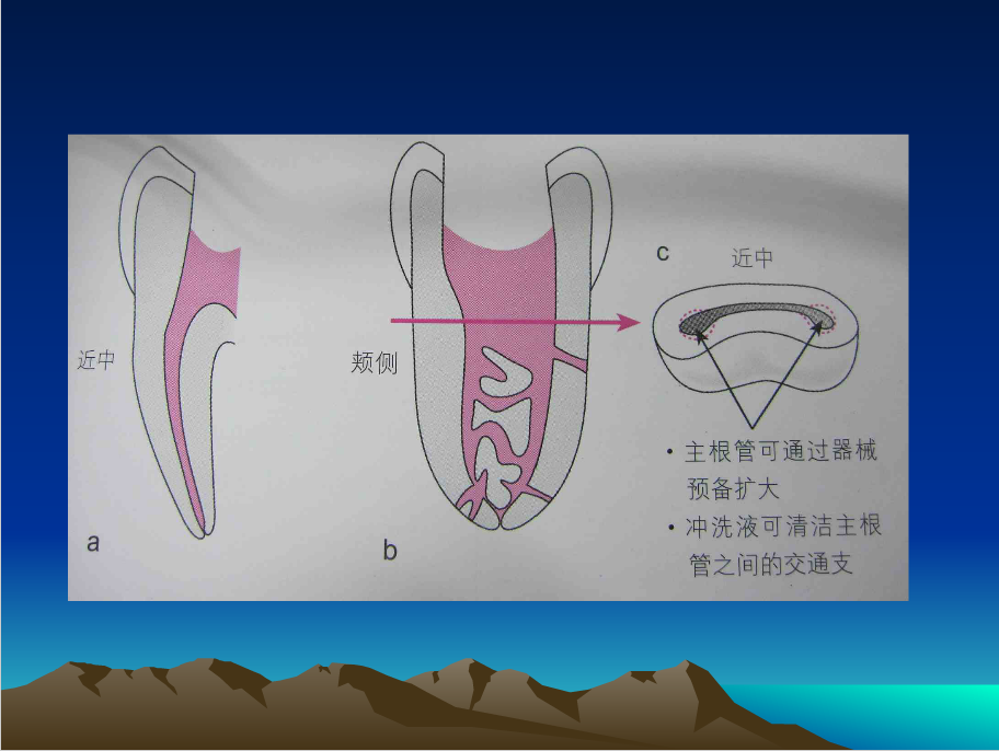 QQ圖片20150818154704.png