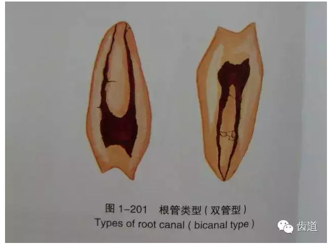 QQ圖片20150820144557.png