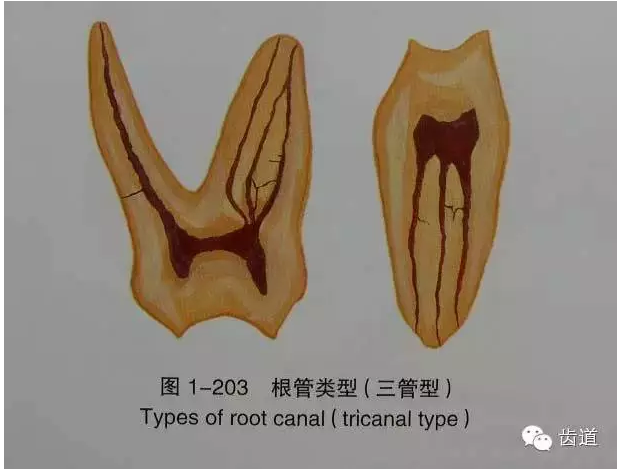 QQ圖片20150820144620.png