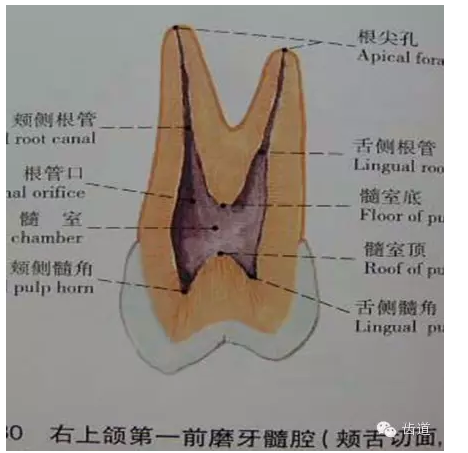 QQ圖片20150820145402.png