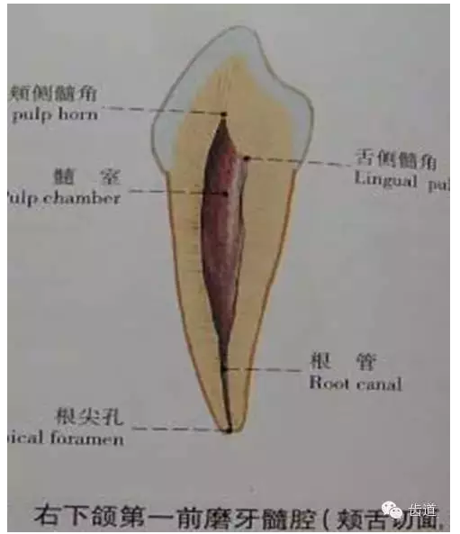 QQ圖片20150820145515.png