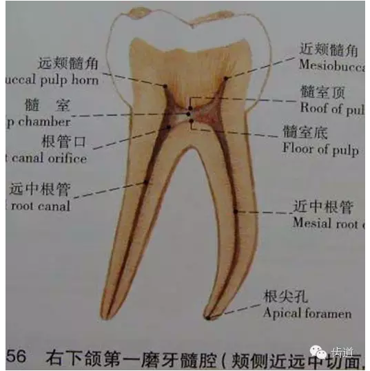 QQ圖片20150820145851.png